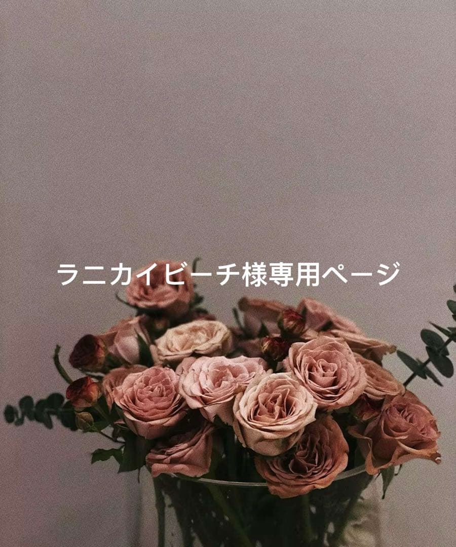 ラニカイビーチページ