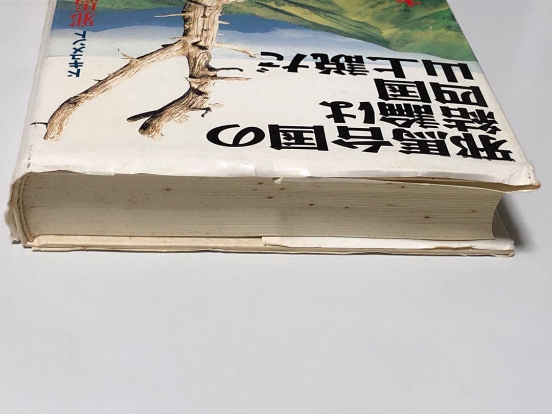 邪馬台国の結論は四国山上説だ 大杉博