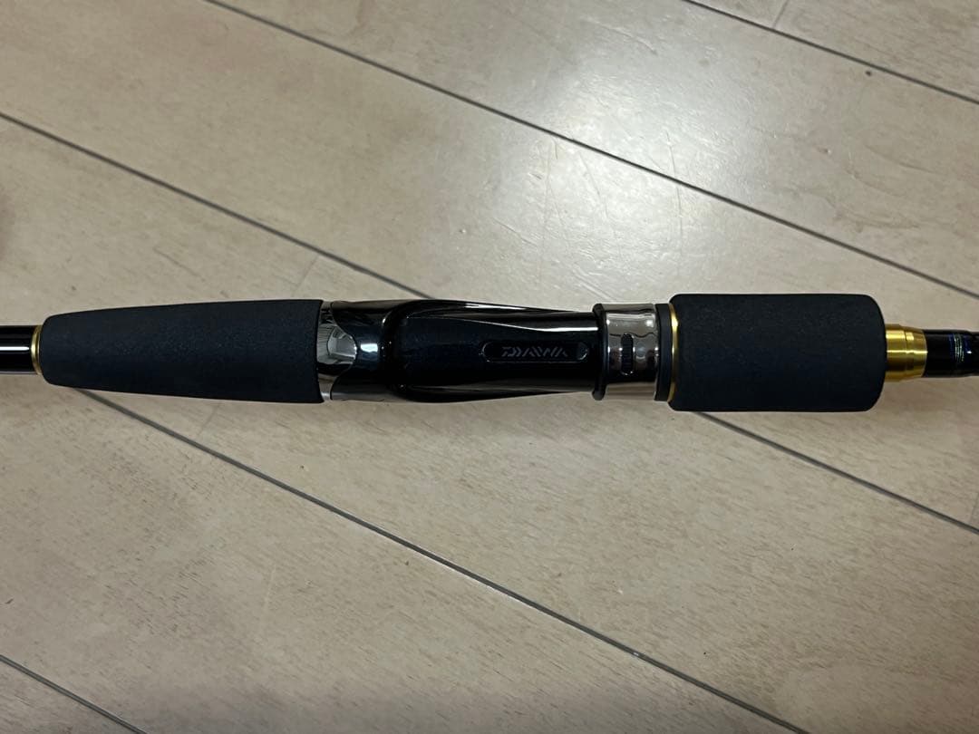 ダイワDAIWA チニングロッドSALTISTソルティストAGS CN79LML