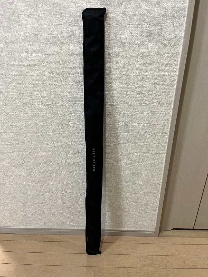 ダイワDAIWA チニングロッドSALTISTソルティストAGS CN79LML