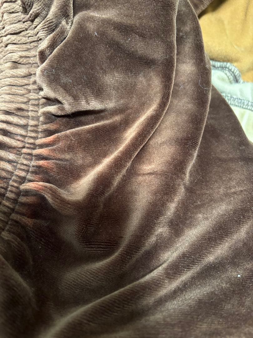 ジョー　エニーチェ　セットアップ　ベロア