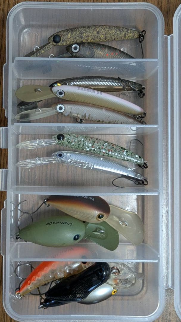 ザッカ、パニクラ　良く釣れる厳選カラー