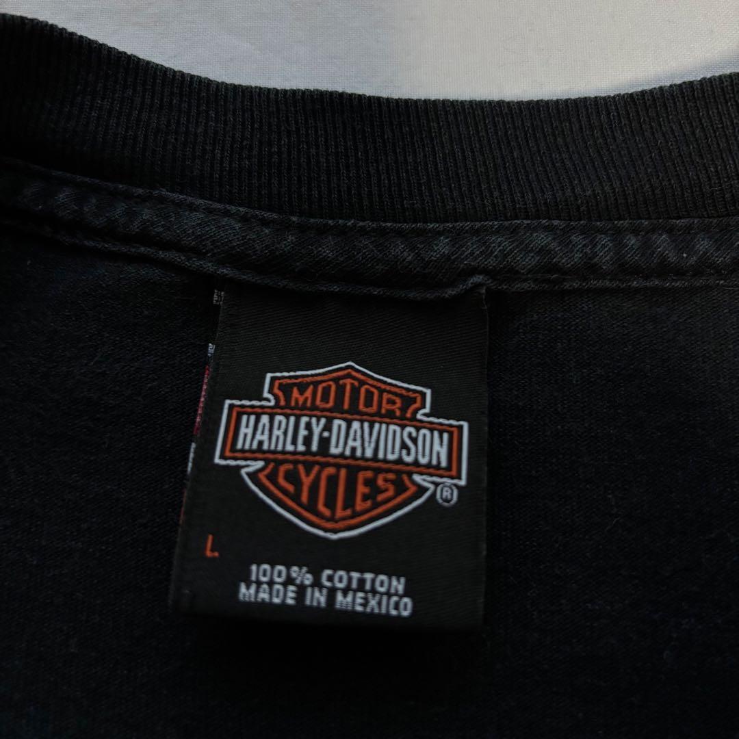 ハーレーダビッドソン　ロングTシャツ　Lサイズ　ブラック　ロゴプリント　古着