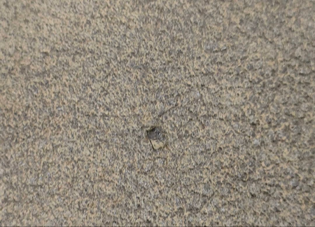 希少LサイズPOTTAR USA製 ムートン フライトジャケット B-3