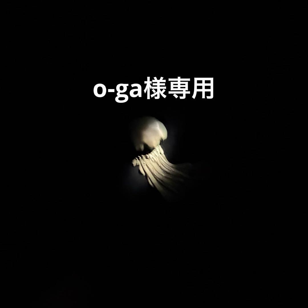 香水(ユニセックス) o-ga