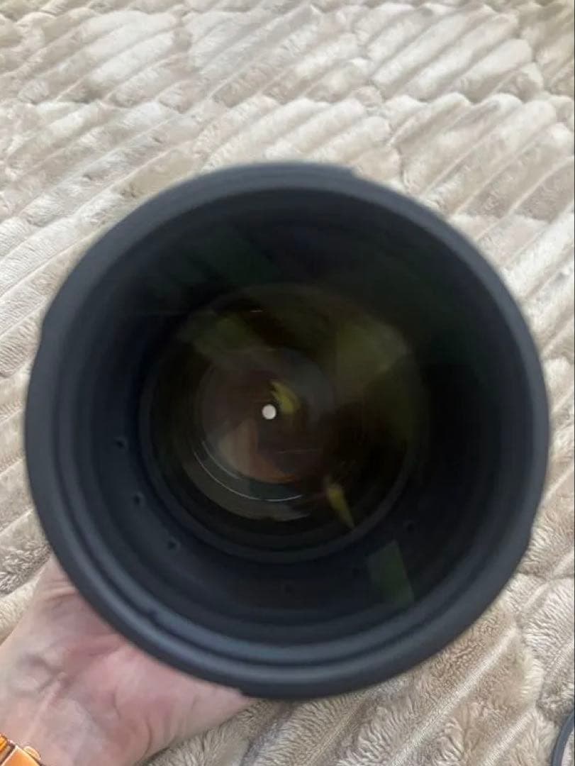 Nikon AF-S NIKKOR 70-200mm 1:2.8GⅡ ED VR