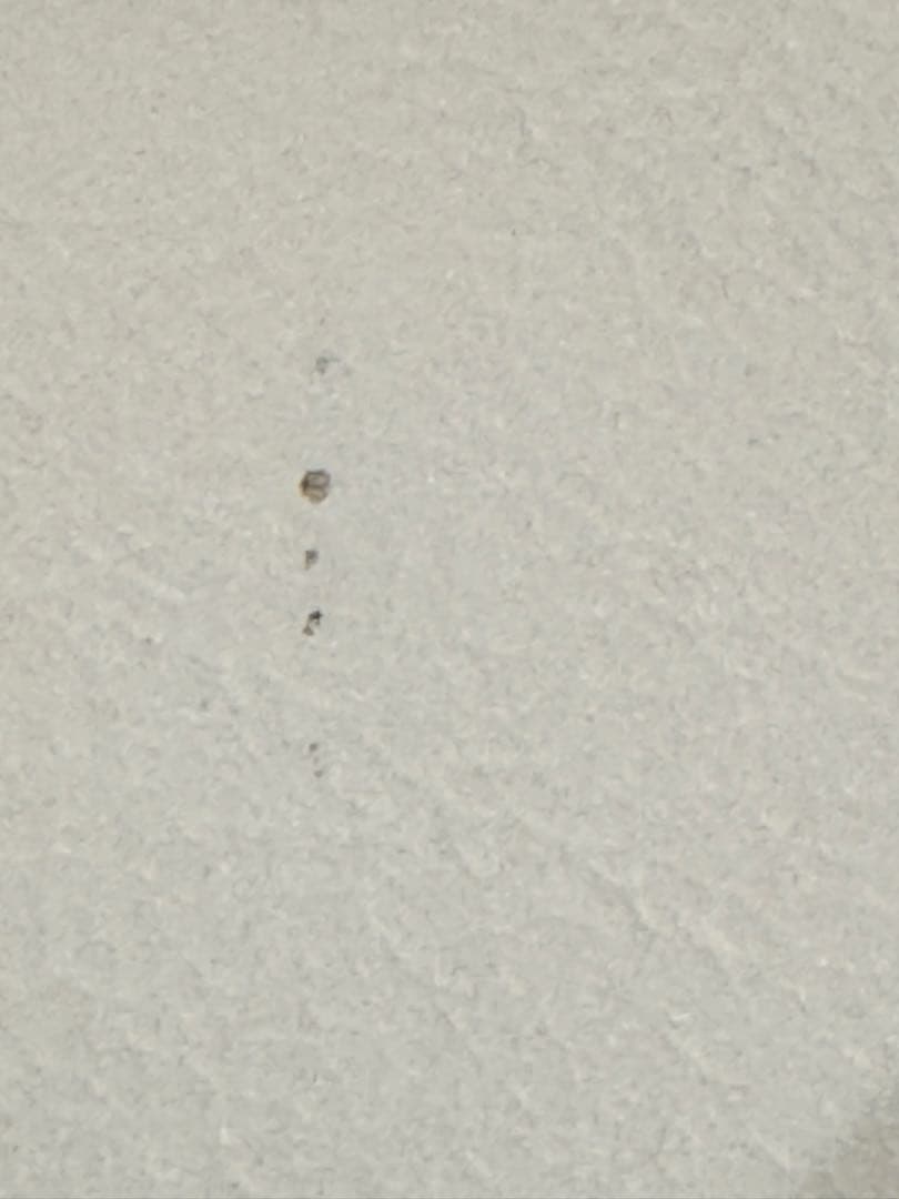 IDC大塚家具 ダイニングチェア シネマ HOC-096 WO 椅子2脚セット