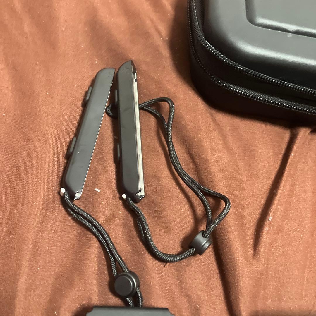 Nintendo Switch Lite 青/緑 本体 + 付属品