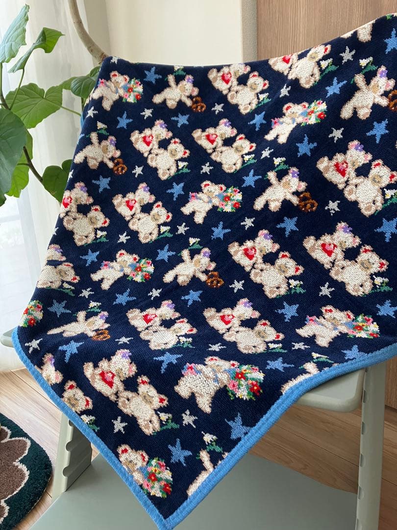 ‼️限定値下‼️【B品】新品❗️フェイラー FEILER❗️おくるみ❗️プティバス❗️