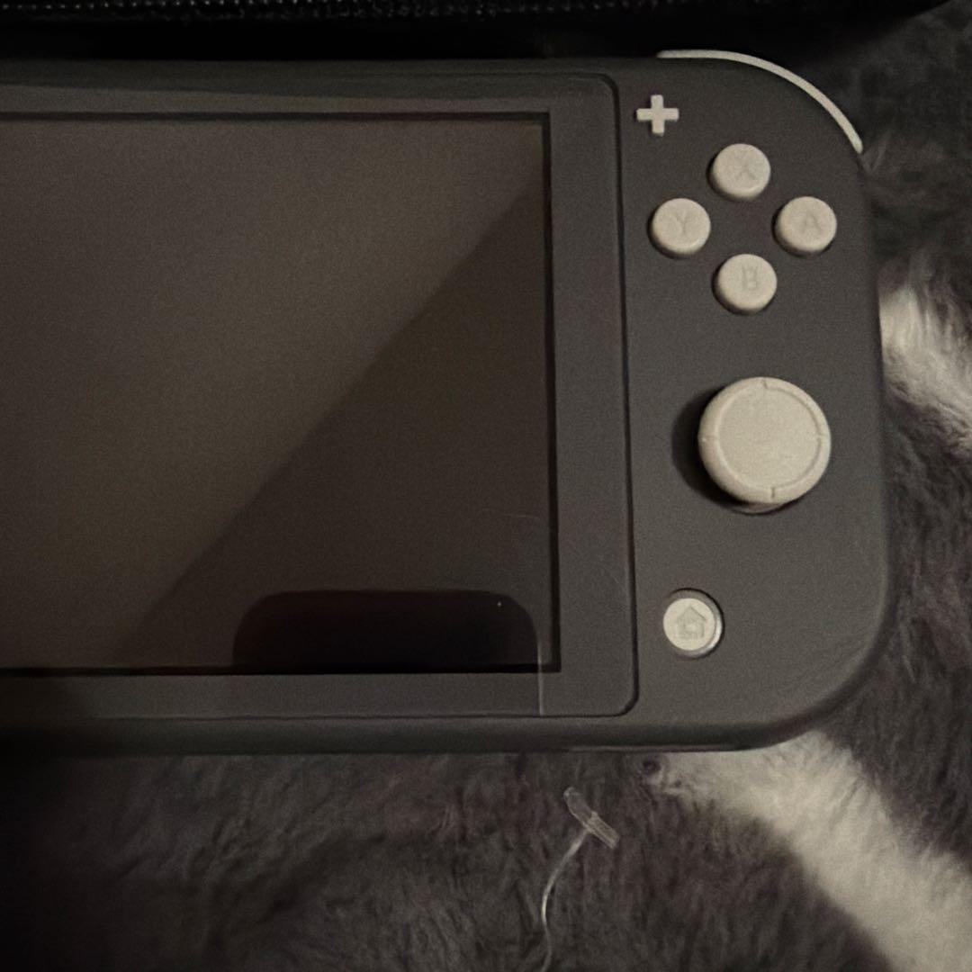 【美品】Nintendo Switch Lite グレー 本体➕あつ森