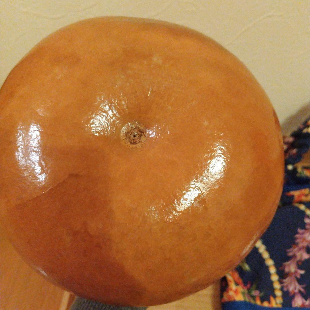 フラダンス　イプ