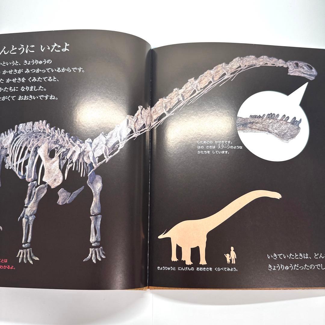 【2点購入150円引】キンダーブック しぜん きょうりゅう『2005年1月号』