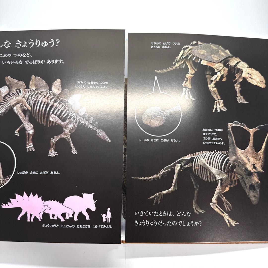 【2点購入150円引】キンダーブック しぜん きょうりゅう『2005年1月号』