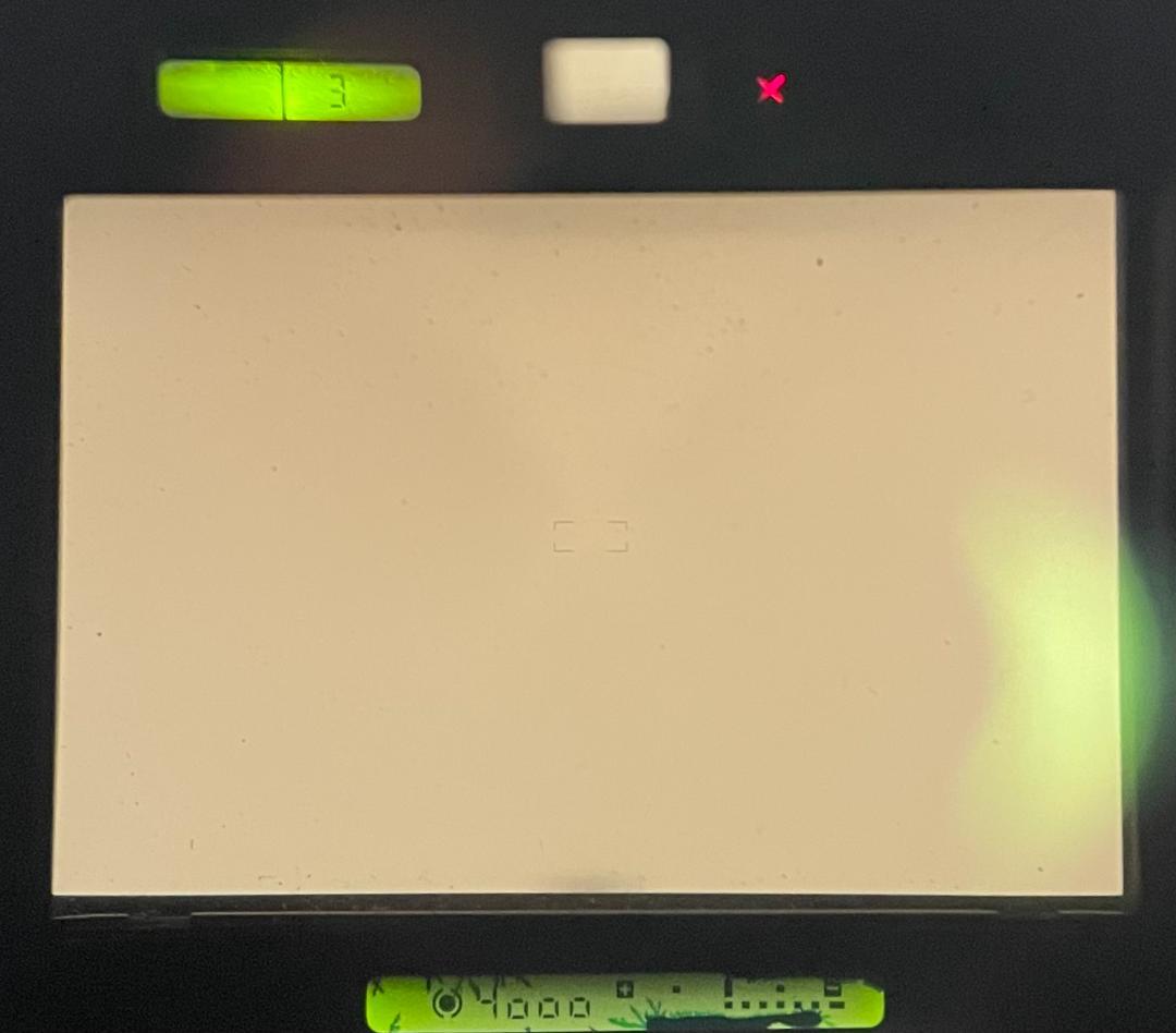 Nikon F4 ニコン フィルムカメラ