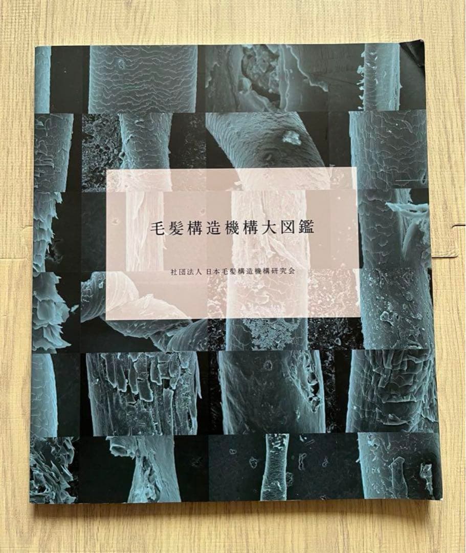 毛髪構造機構　大図鑑