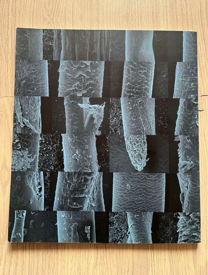 毛髪構造機構　大図鑑