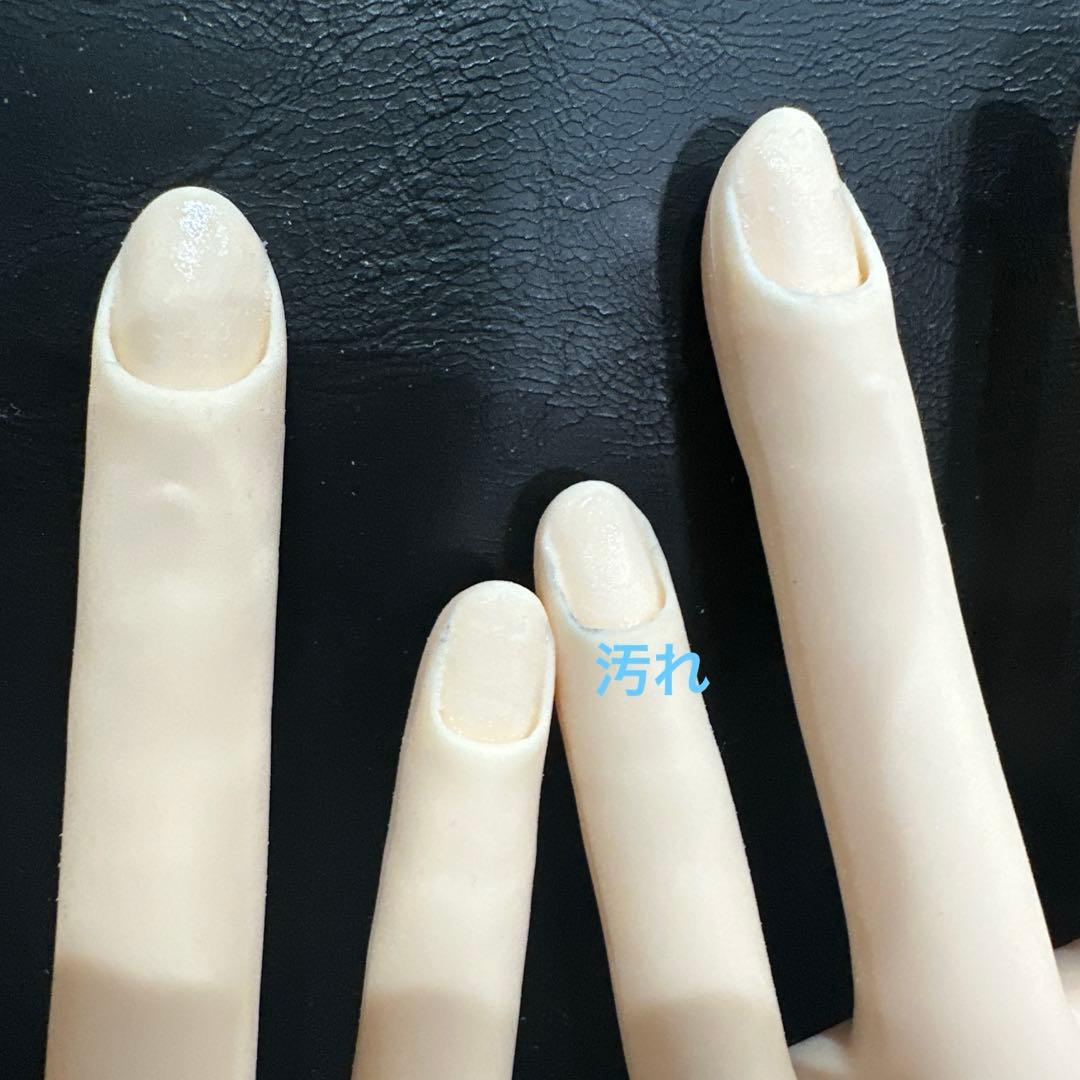 【さち】ネイル検定 STモデルハンド 認定講師試験 まとめ売り