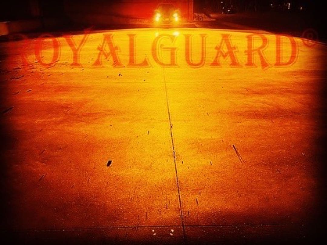 アンバー LEDフォグ ロイヤルガード零 H8 H11 H16 HB4