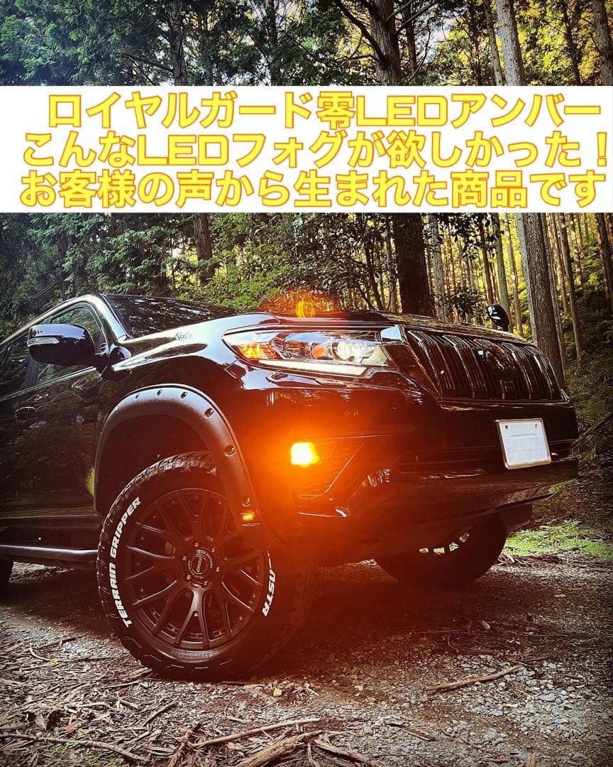 アンバー LEDフォグ ロイヤルガード零 H8 H11 H16 HB4