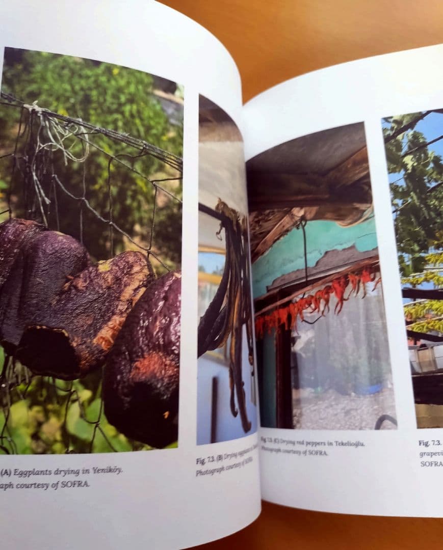 英語　トルコの食の伝統に関する本 Sofra