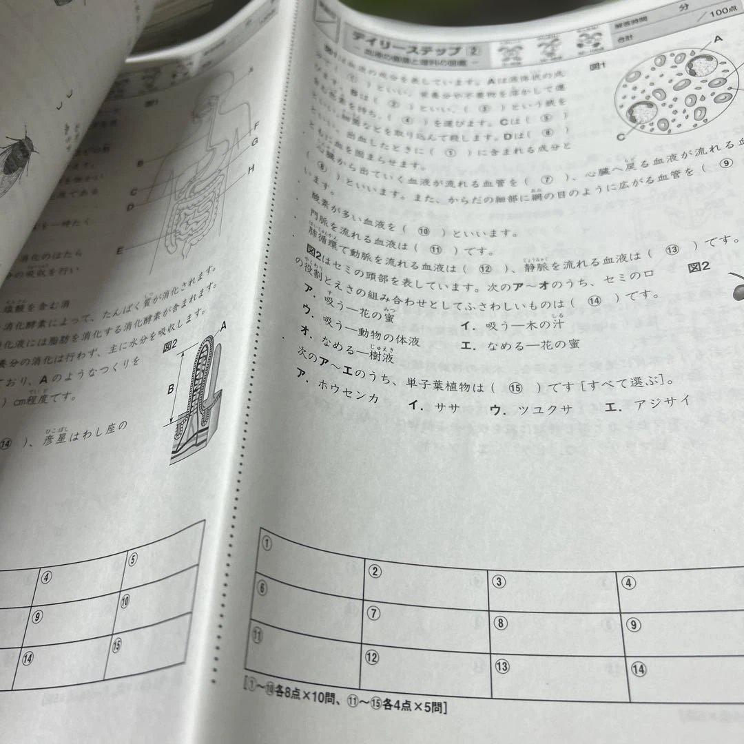 ㉔A サピックス　SAPIX 5年　理科　一年分フルセット　季節講習込み　美品