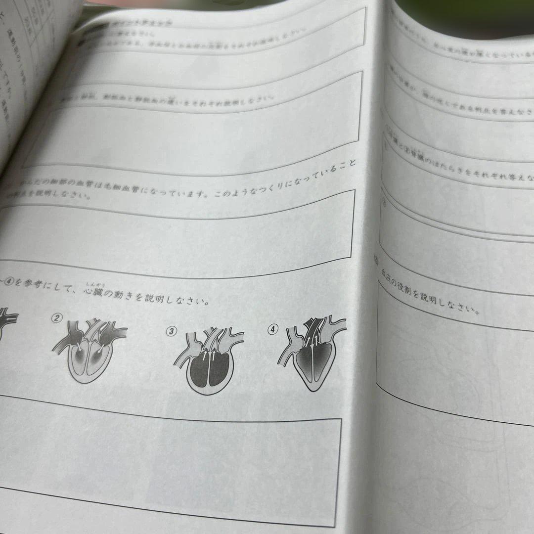 ㉔A サピックス　SAPIX 5年　理科　一年分フルセット　季節講習込み　美品