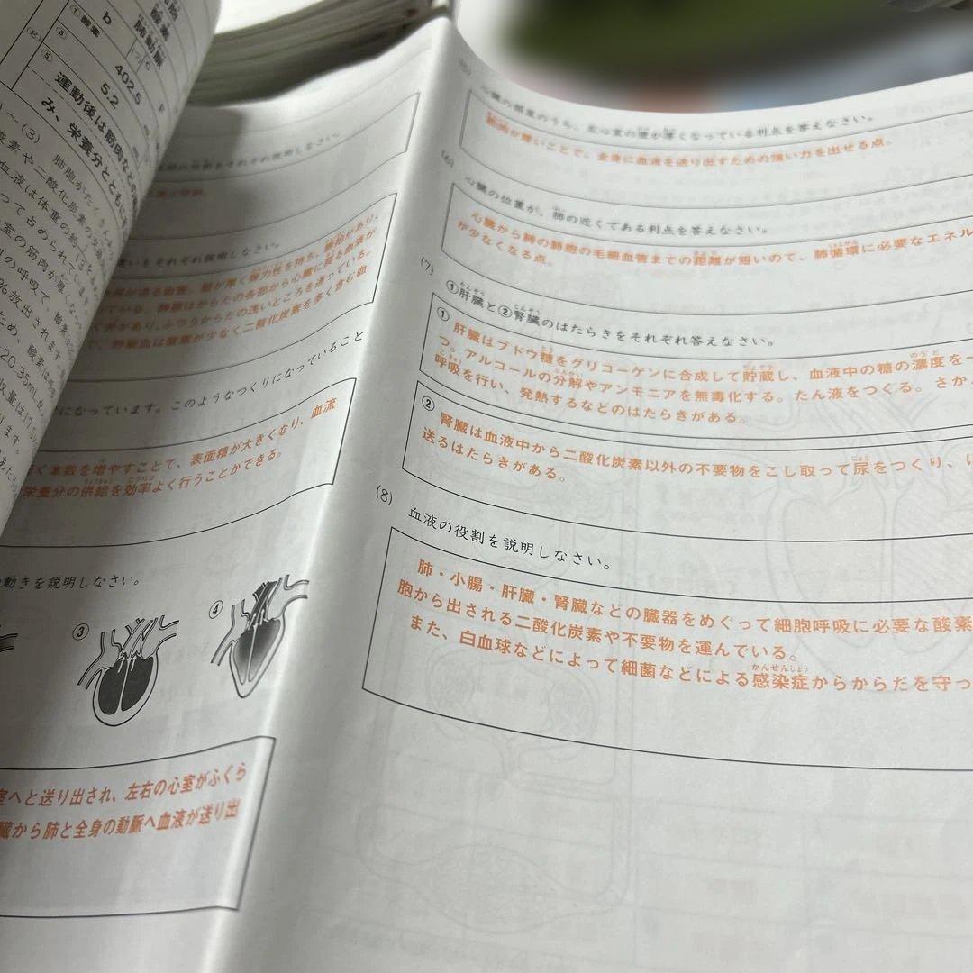 ㉔A サピックス　SAPIX 5年　理科　一年分フルセット　季節講習込み　美品