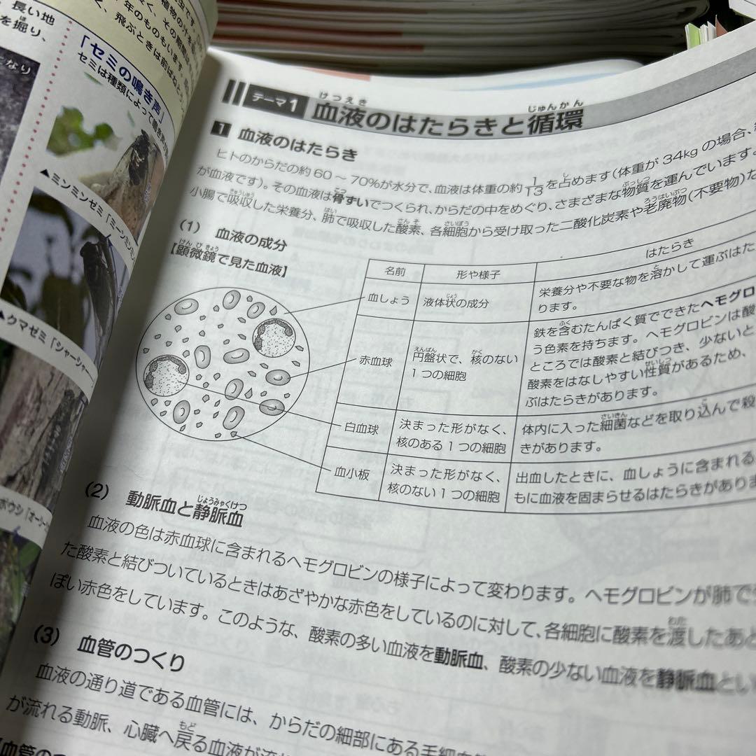 ㉔A サピックス　SAPIX 5年　理科　一年分フルセット　季節講習込み　美品
