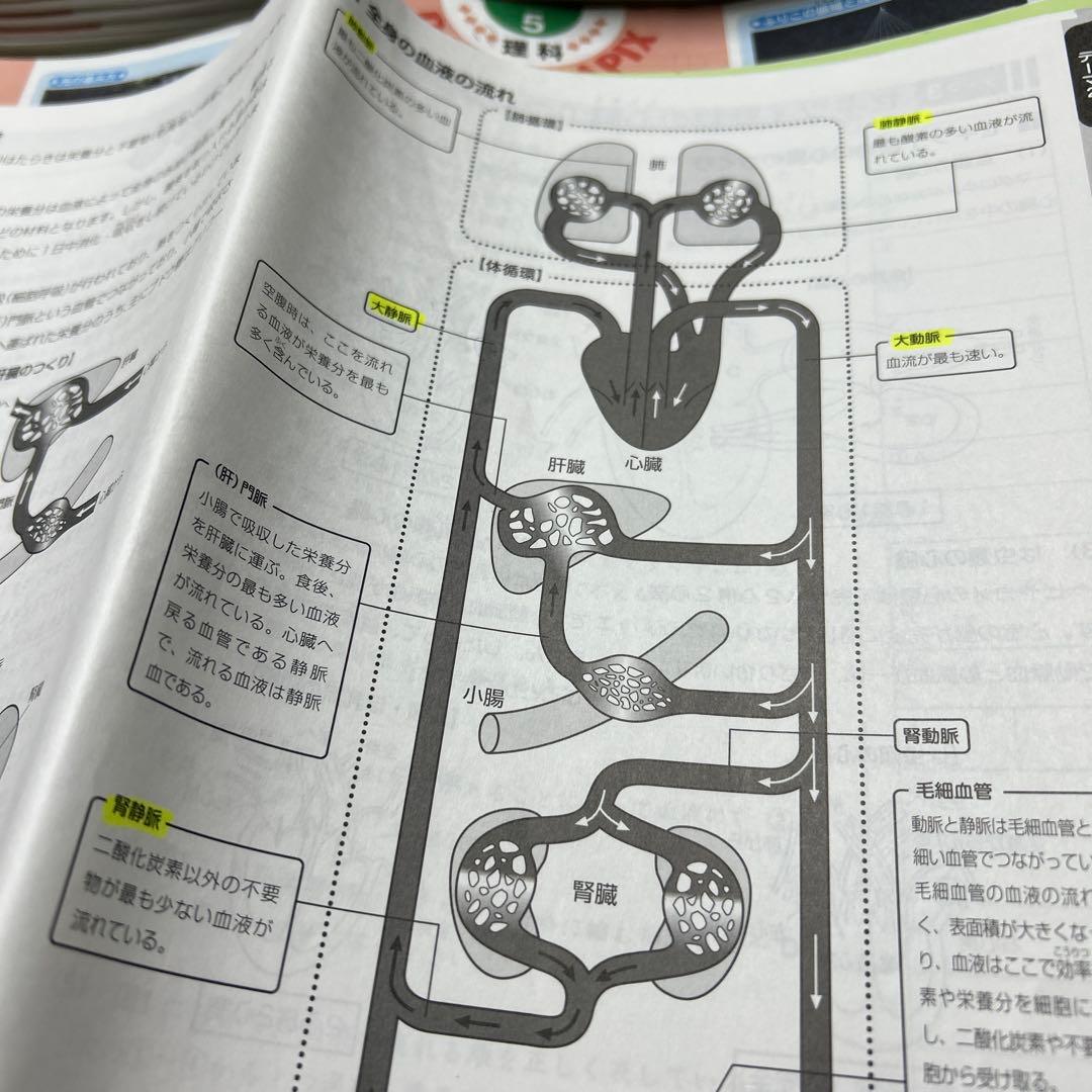 ㉔A サピックス　SAPIX 5年　理科　一年分フルセット　季節講習込み　美品