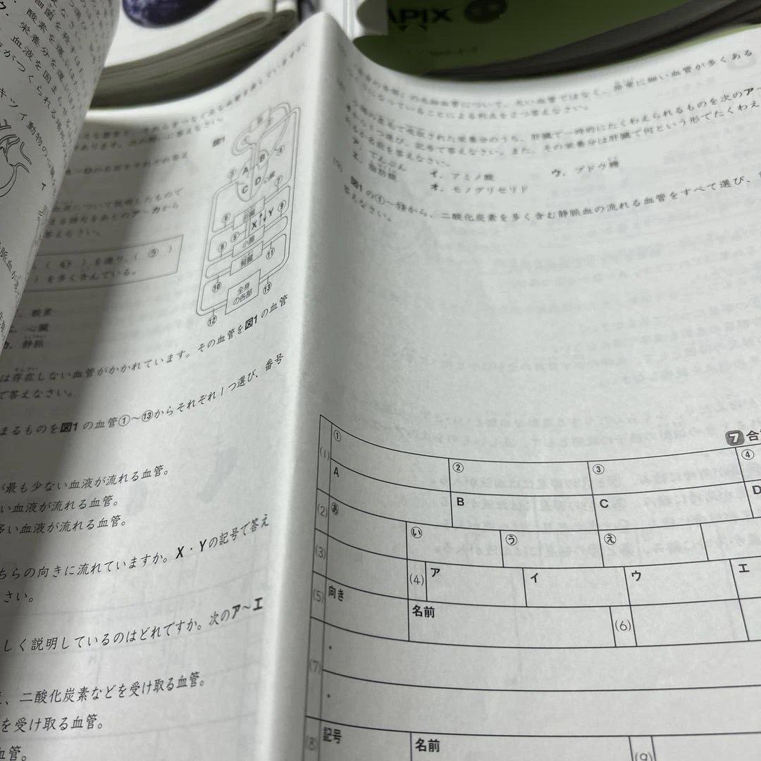 ㉔A サピックス　SAPIX 5年　理科　一年分フルセット　季節講習込み　美品