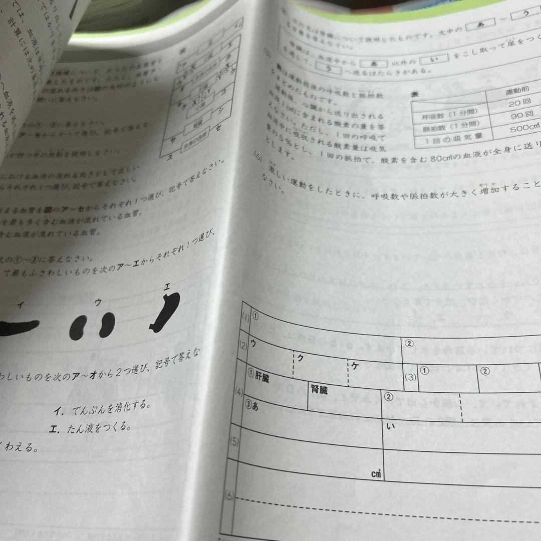 ㉔A サピックス　SAPIX 5年　理科　一年分フルセット　季節講習込み　美品