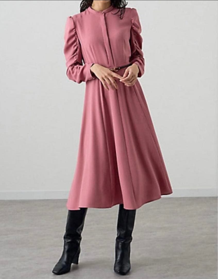 ANAYI アムンゼンベルト付 切り替え ワンピース サイズ34