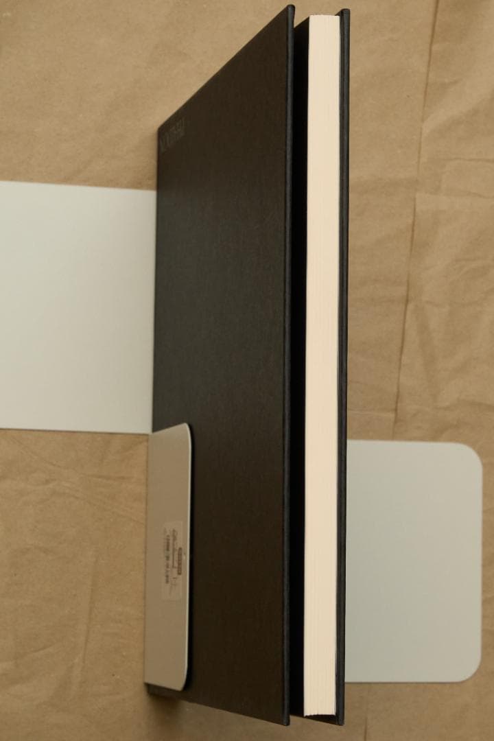 アート・デザイン・音楽 Roger Ballen \"Shadow Chamber\"