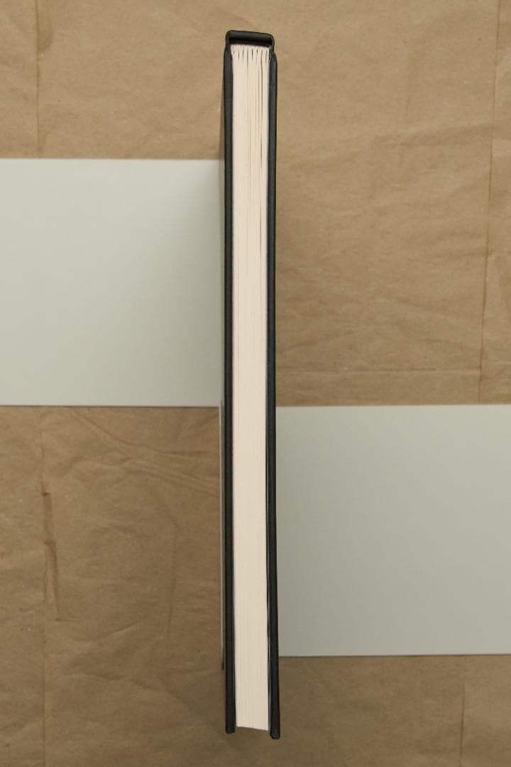 アート・デザイン・音楽 Roger Ballen \"Shadow Chamber\"