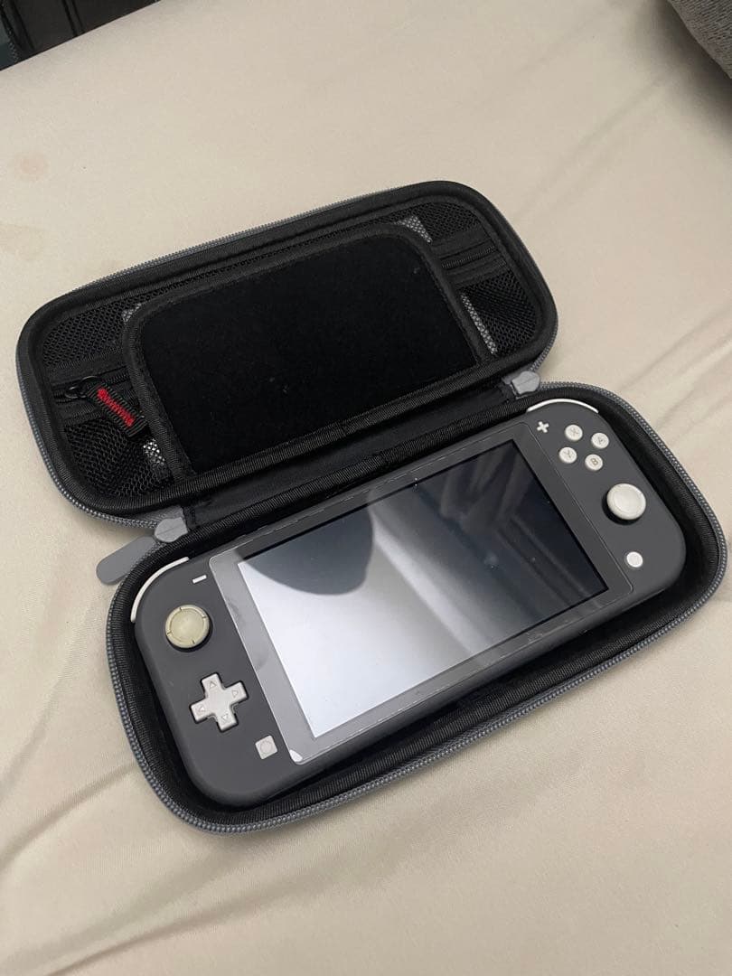 Nintendo Switch Lite ケース付き 充電アダプター付き