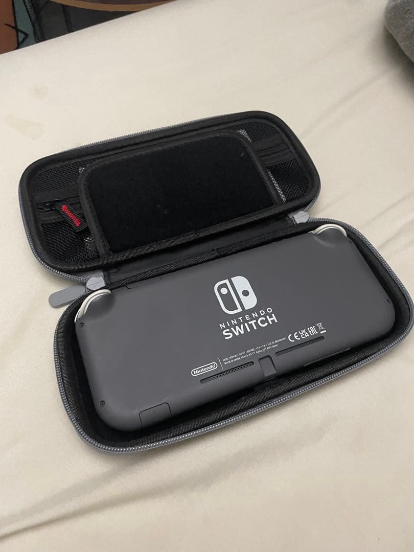 Nintendo Switch Lite ケース付き 充電アダプター付き