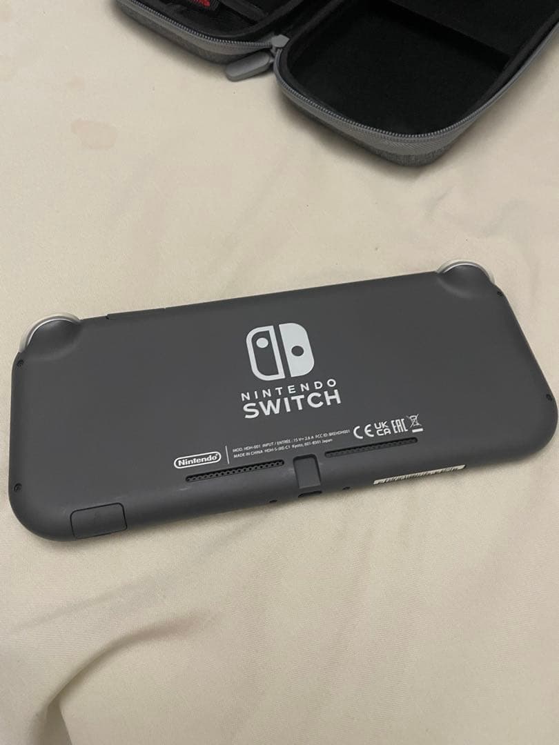 Nintendo Switch Lite ケース付き 充電アダプター付き