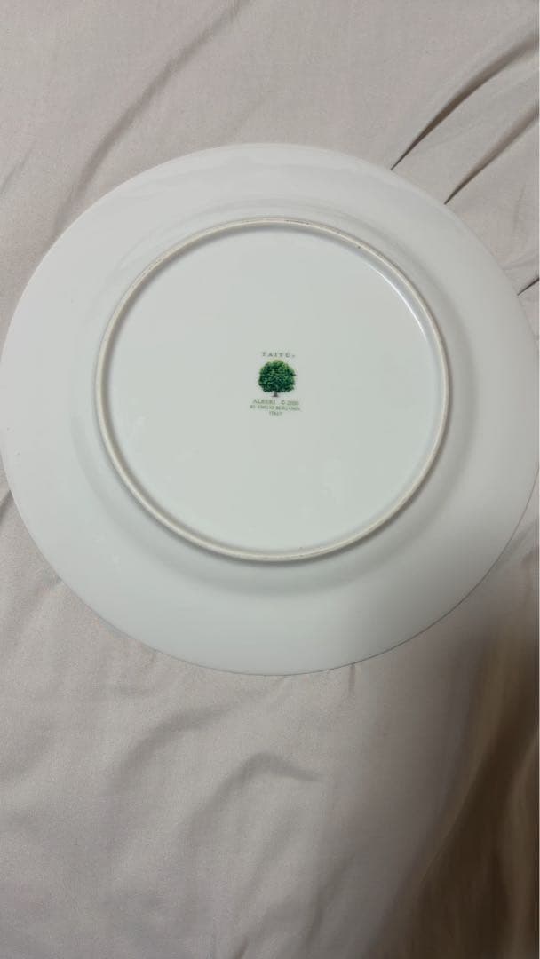 TAITUディナープレイト２枚