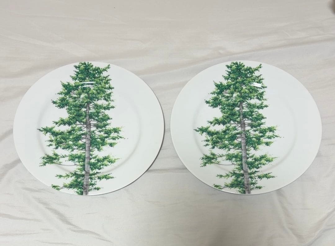 TAITUディナープレイト２枚