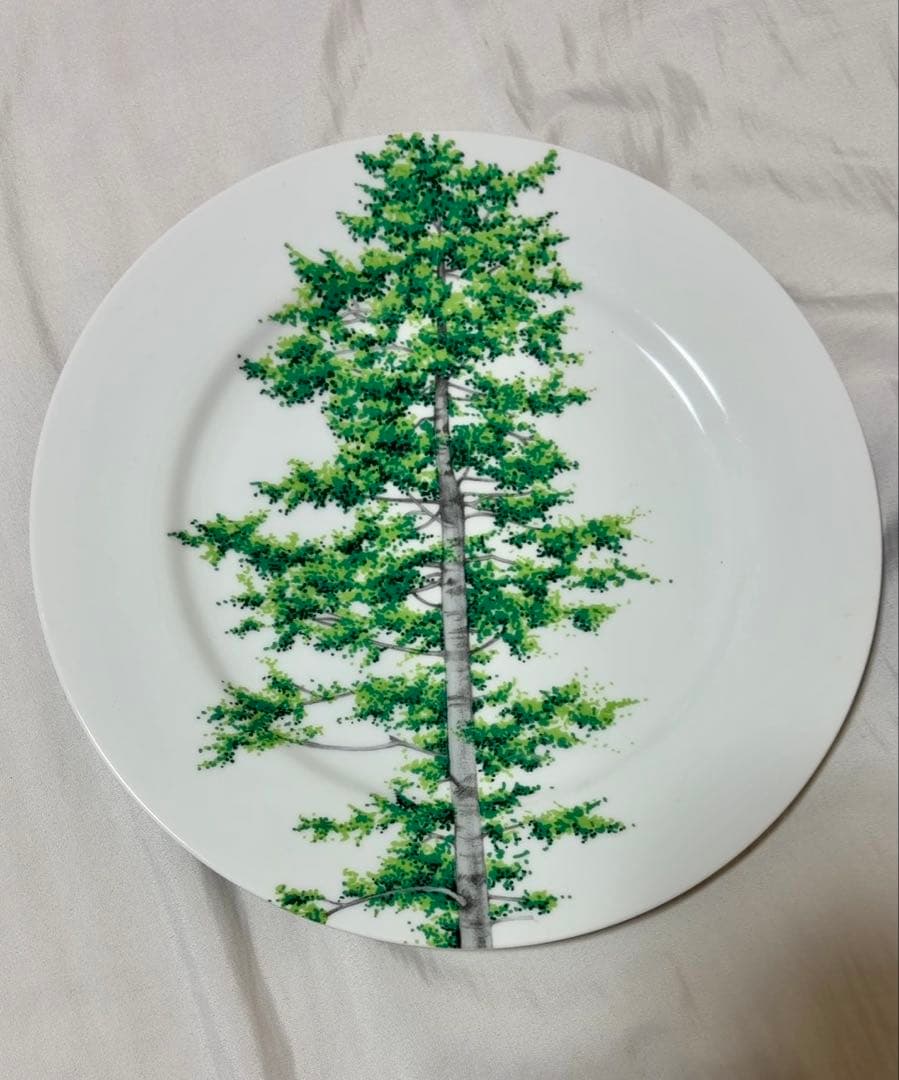 TAITUディナープレイト２枚