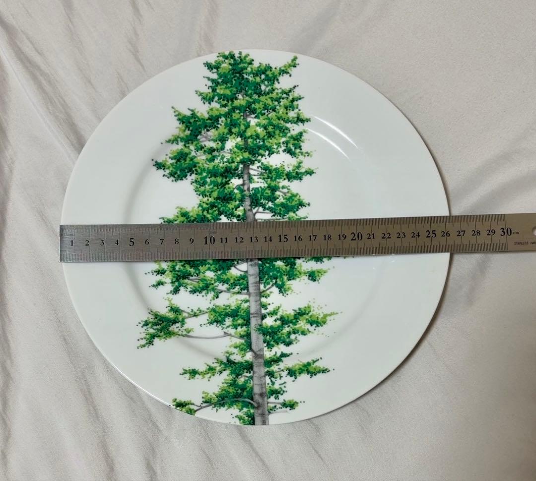 TAITUディナープレイト２枚