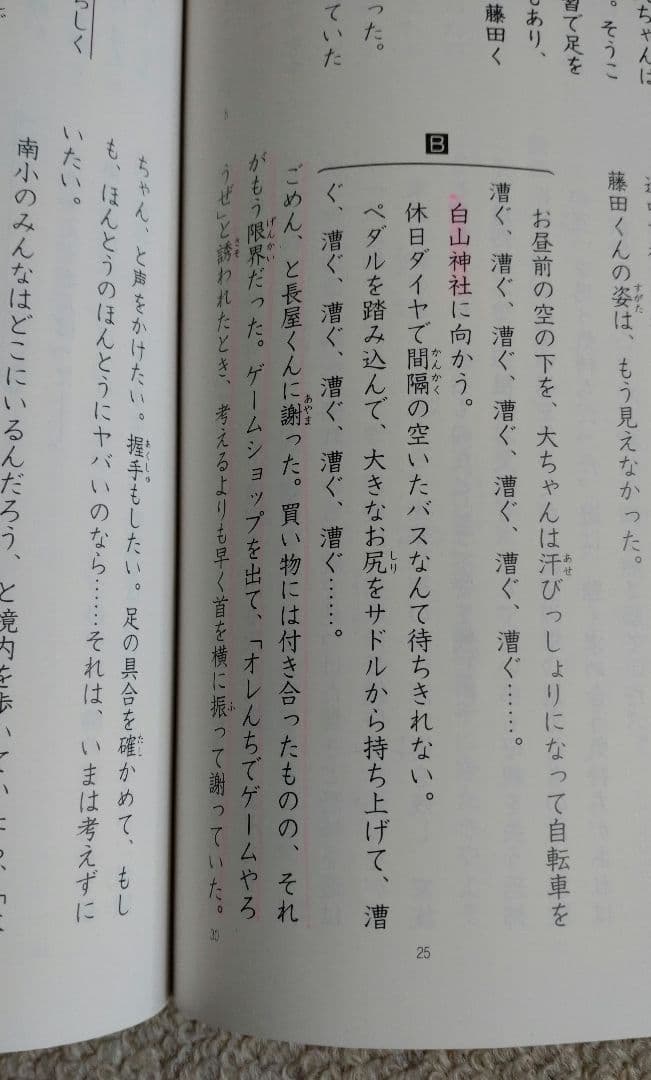 timo 　四谷大塚　予習シリーズ　６年上下（32冊）