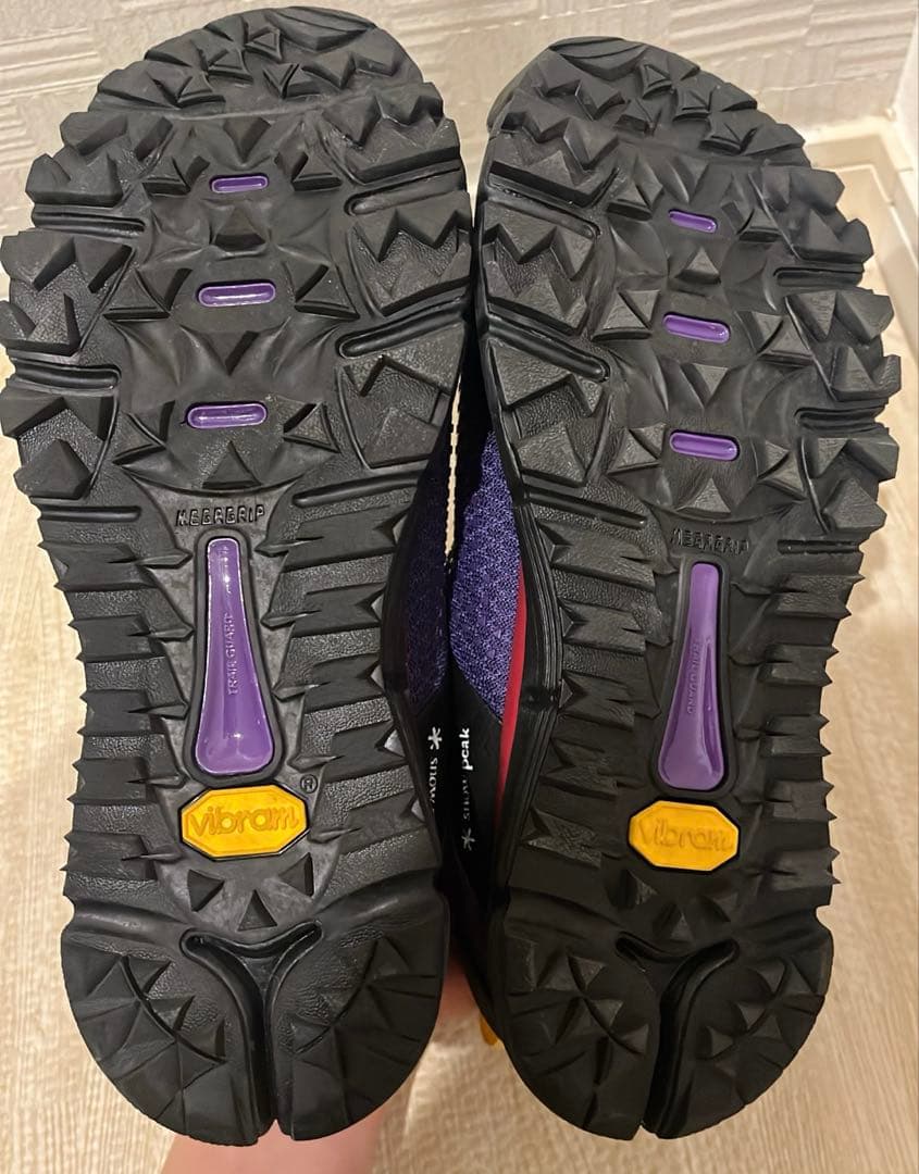 ★美品★Danner / peak TRAIL 2650 GTX SP