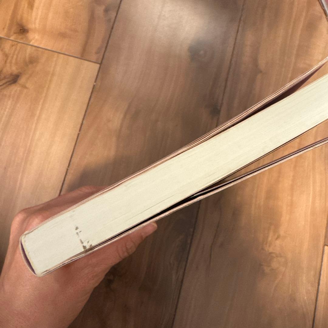 アイナ・メイの自然出産ガイド