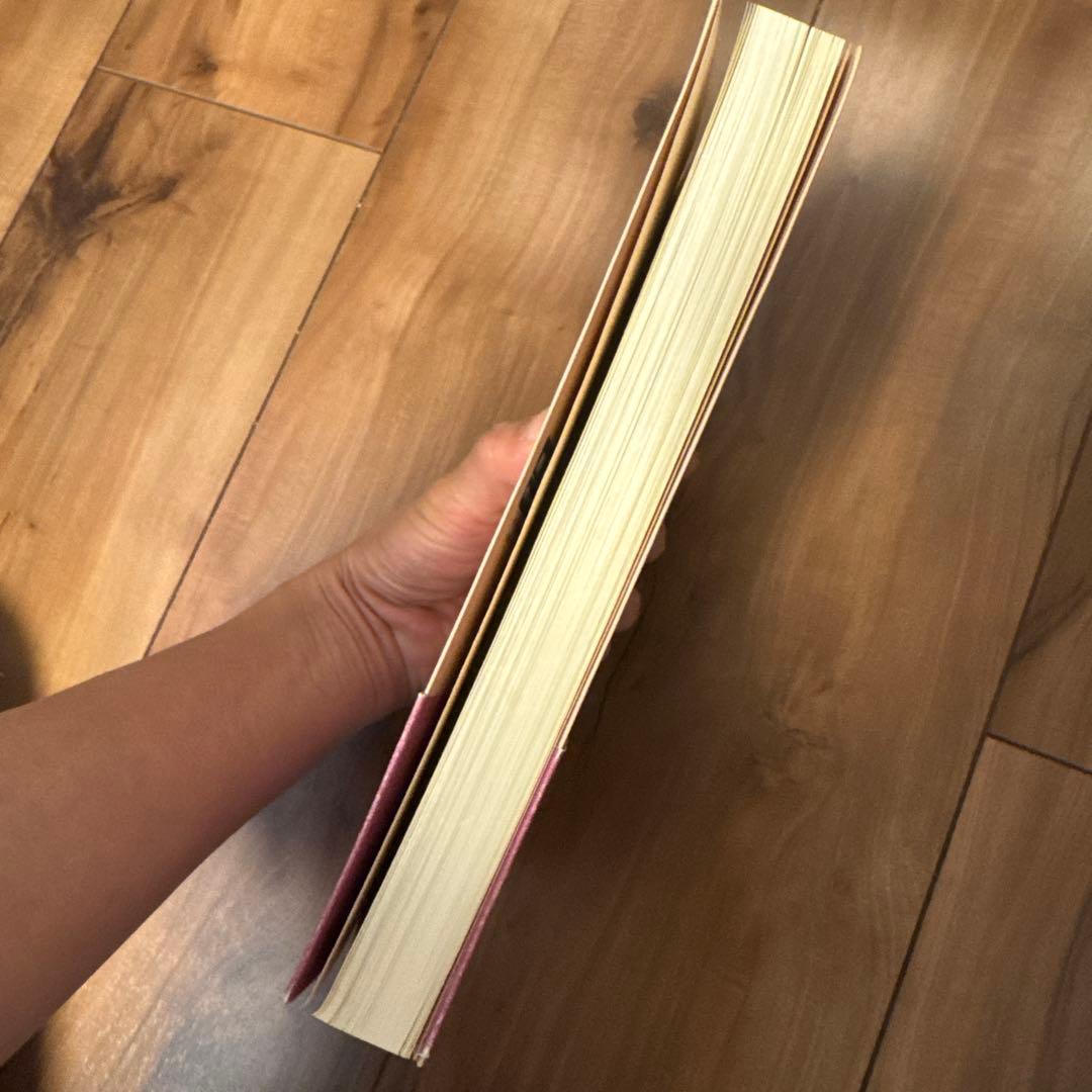 アイナ・メイの自然出産ガイド