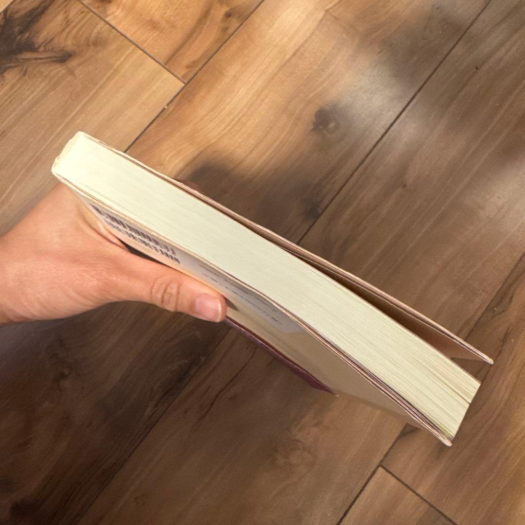 アイナ・メイの自然出産ガイド