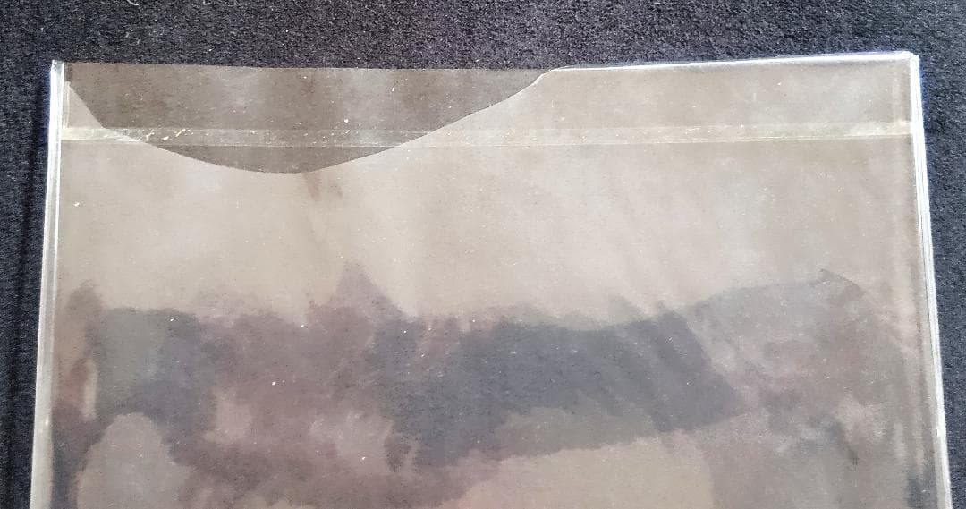 椎名林檎 / 勝訴ストリップ　(アナログLP盤 2枚組)