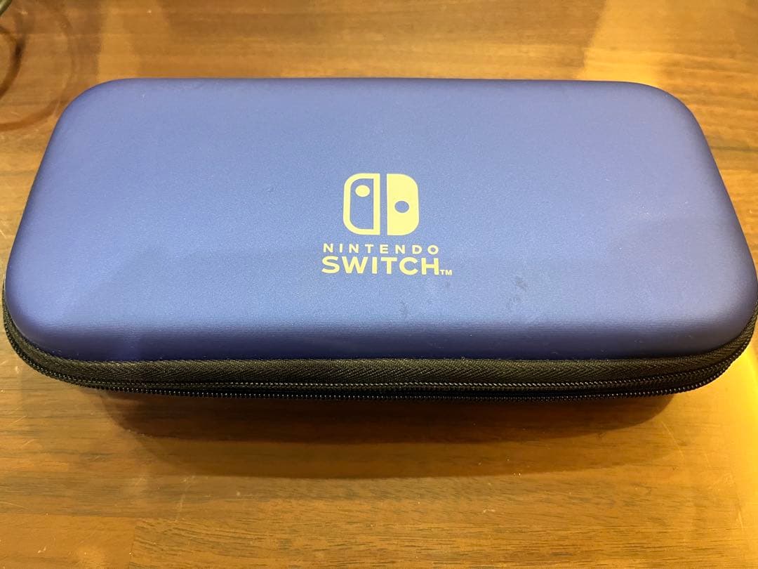 Switch ライト本体
