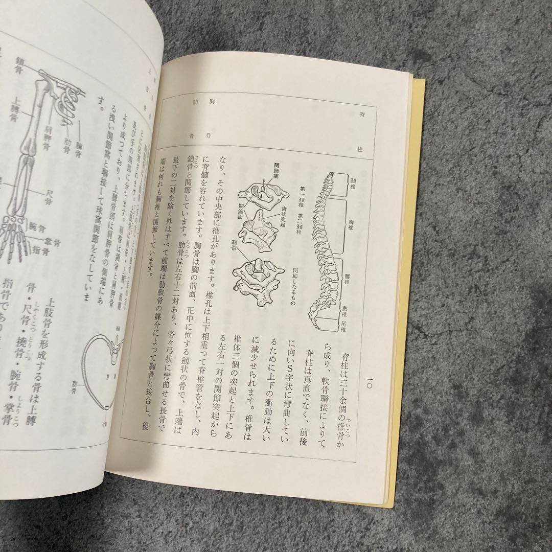 【古書】皇法医学 家庭整骨法 治療医療伝統医学気功理学東洋医学中医鍼灸呪術呪詛
