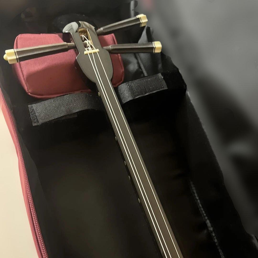 三線 本体 蛇の皮 ケース付き